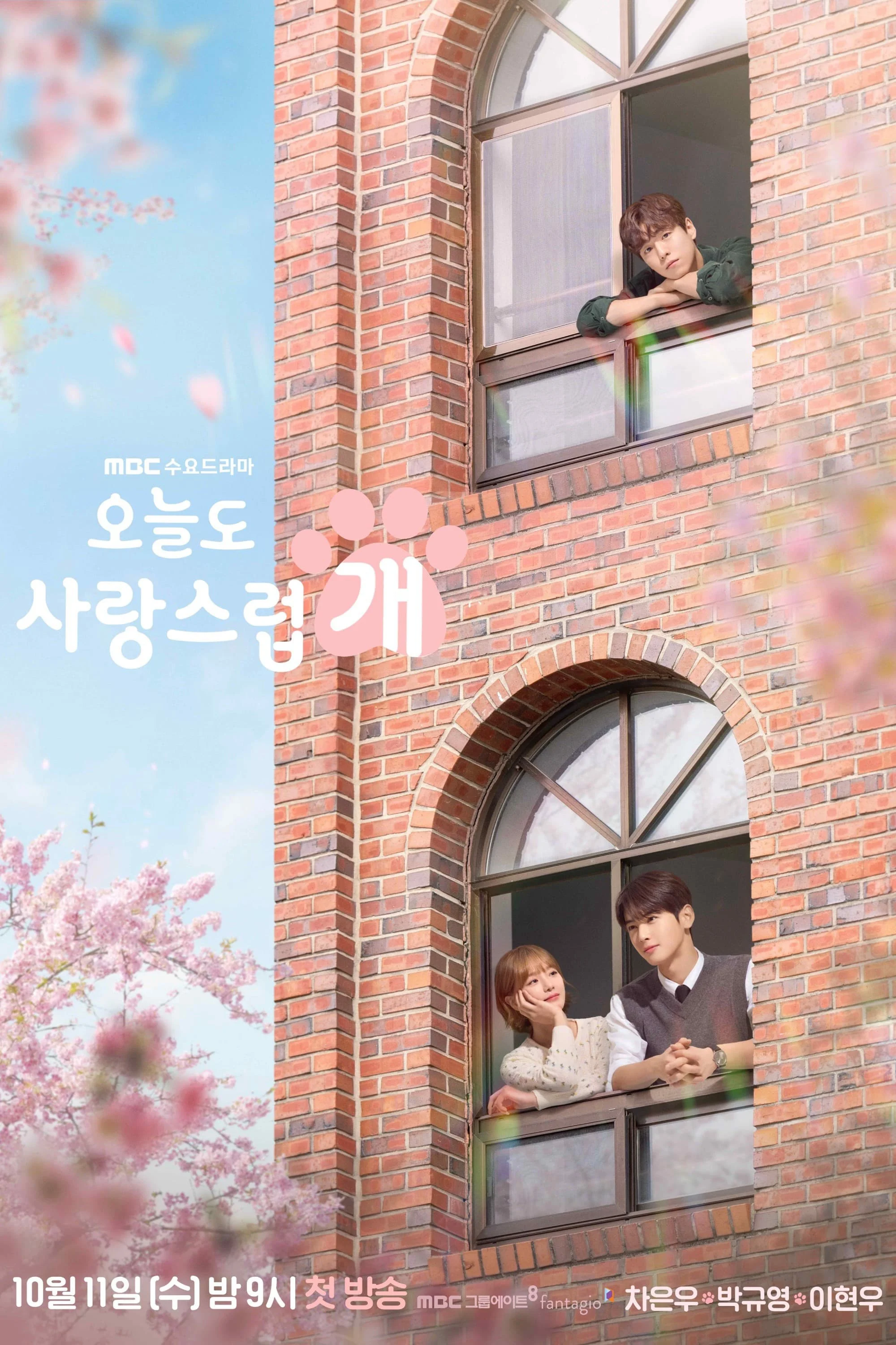 A Good Day To Be A Dog